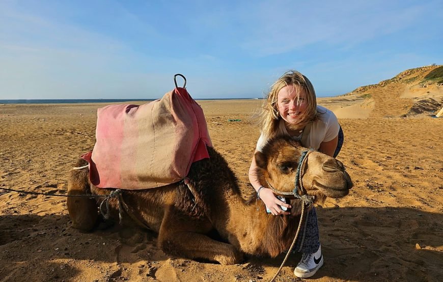 Luxury Day trip from Tarifa to Tangier