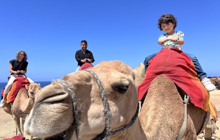 Luxury Day trip from Tarifa to Tangier