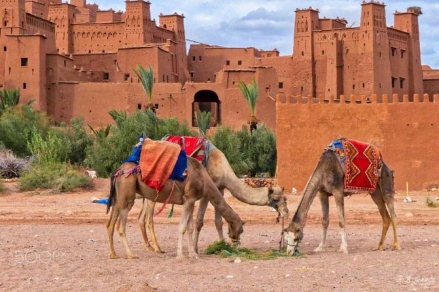7-Day Morocco Tour from Spain